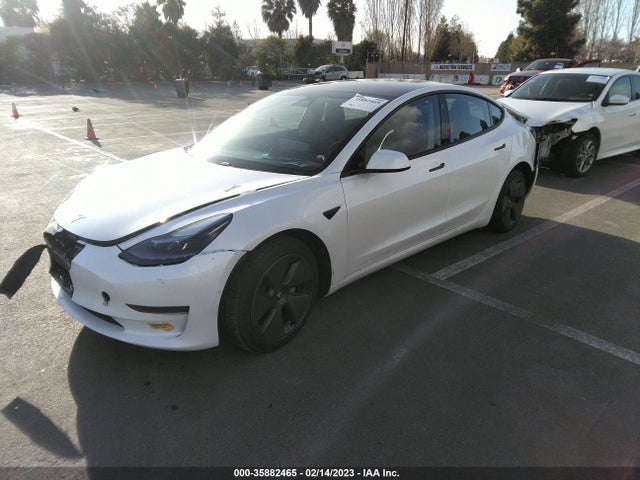 Tesla MODEL 3 2021 5YJ3E1EA4MF083851 Image 2