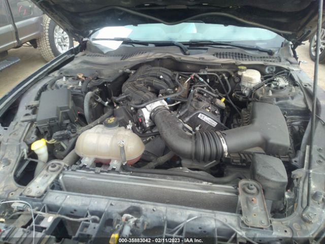 1FA6P8AM6H5225131 Ford Mustang V6