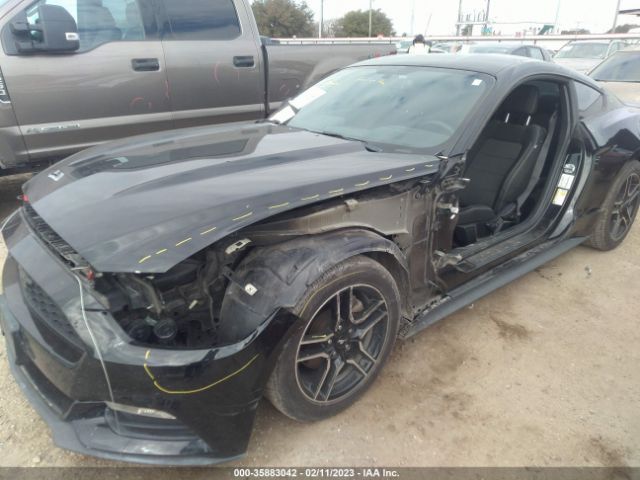1FA6P8AM6H5225131 Ford Mustang V6