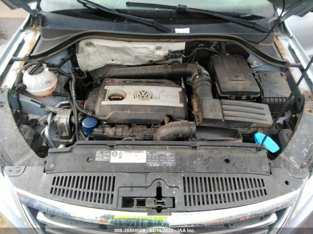 2010 VOLKSWAGEN TIGUAN S VIN: WVGAV7AX4AW001902