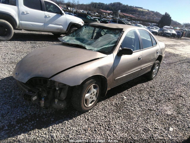 Chevrolet Cavalier 2002 1G1JC524827144651 Image 2