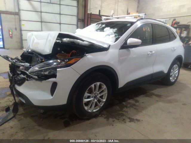 1FMCU9BZ0MUA54281 Ford Escape Se Hybrid