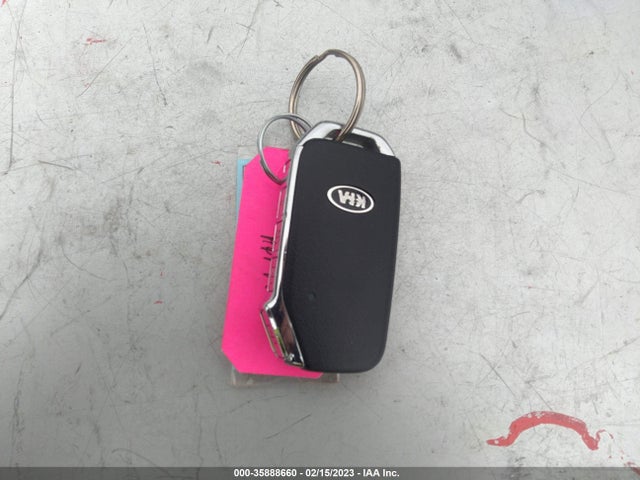 KIA Telluride 2020 5XYP5DHC8LG025488 Image 3