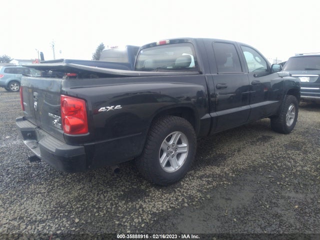 Dodge Dakota Bighorn/lonestar 2010 1D7CW3GK7AS164474 Image 6