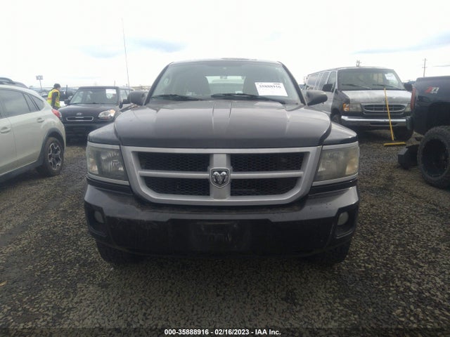 Dodge Dakota Bighorn/lonestar 2010 1D7CW3GK7AS164474 Image 8