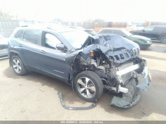1C4PJLDB6LD628442 auction archive image
