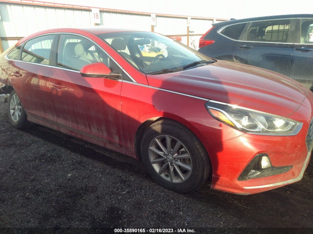 2019 Hyundai Sonata, VIN: 5NPE24AF2KH790563