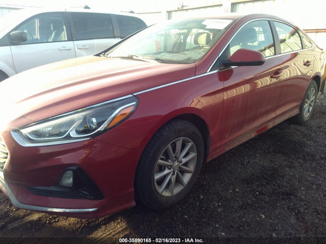 2019 Hyundai Sonata, VIN: 5NPE24AF2KH790563