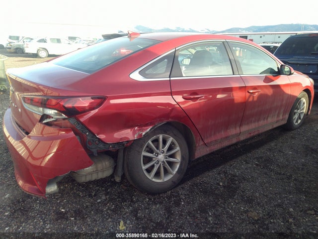 2019 Hyundai Sonata, VIN: 5NPE24AF2KH790563