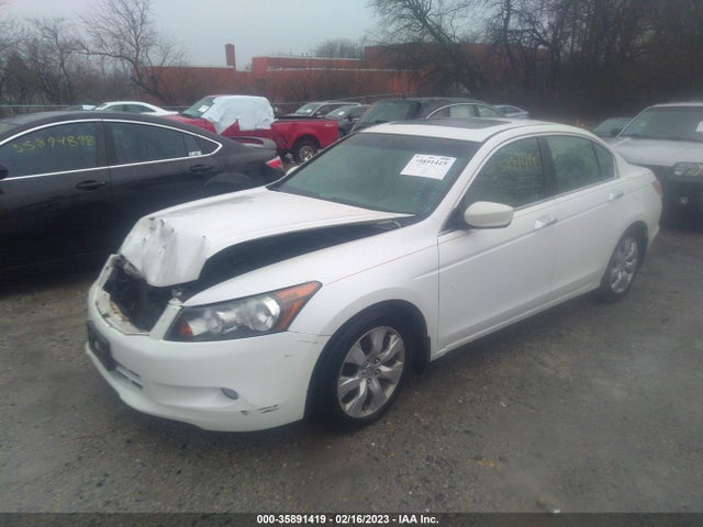 2010 HONDA ACCORD SDN EX-L VIN: 5KBCP3F84AB015080