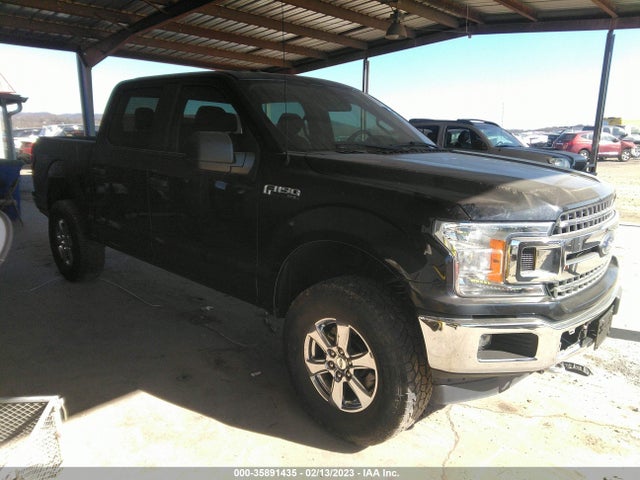 2019 Ford F-150, VIN: 1FTEW1CP3KFC02804