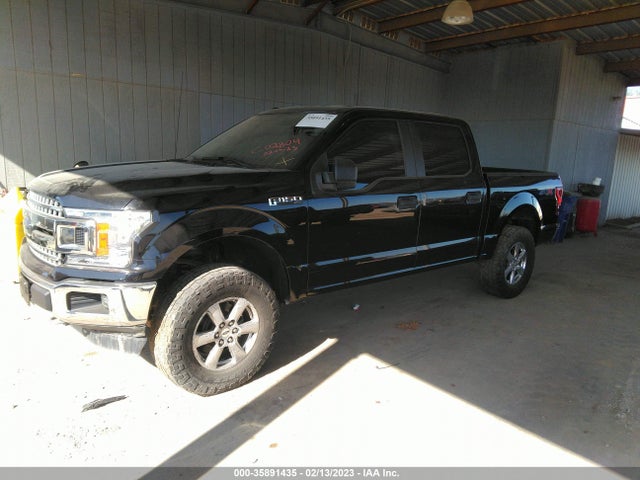 2019 Ford F-150, VIN: 1FTEW1CP3KFC02804