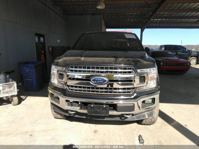 2019 Ford F-150, VIN: 1FTEW1CP3KFC02804