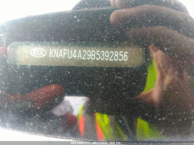 KNAFU4A29B5392856 KIA FORTE EX