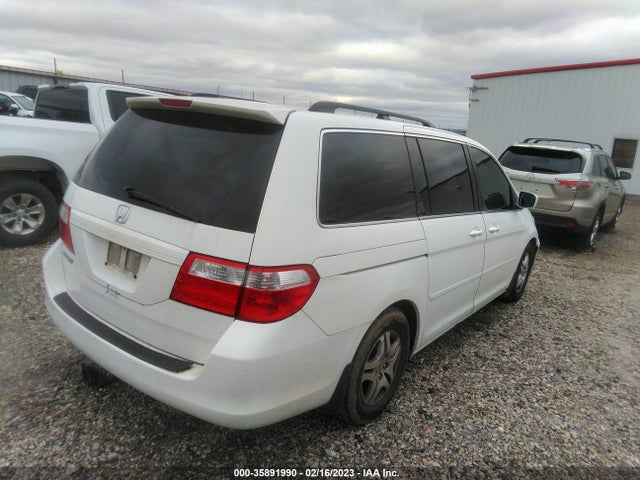 2007 HONDA ODYSSEY EX-L VIN: 5FNRL38797B462246