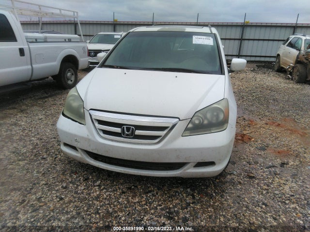 2007 HONDA ODYSSEY EX-L VIN: 5FNRL38797B462246