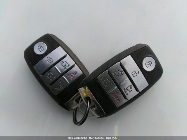 KNDMC5C11G6138146 KIA SEDONA EX