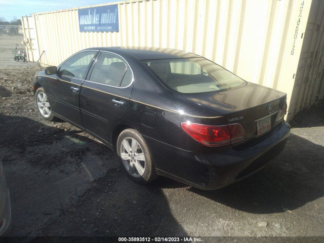 Lexus ES 330 2005 JTHBA30GX55137931 Image 4