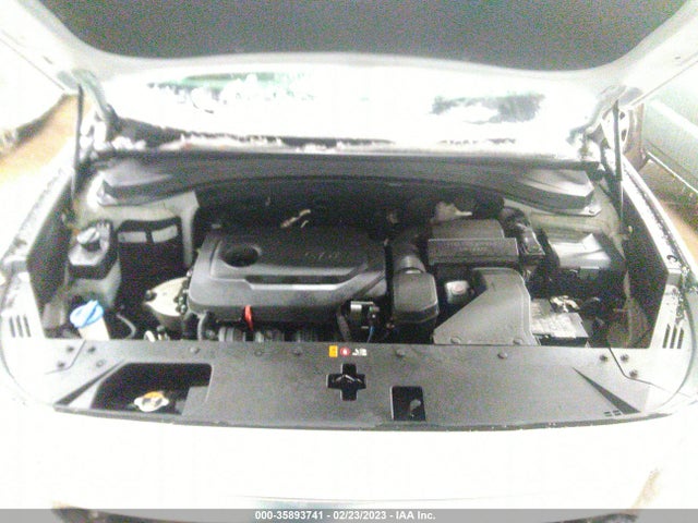 2019 Hyundai Santa Fe, VIN: 5NMS2CAD9KH100171
