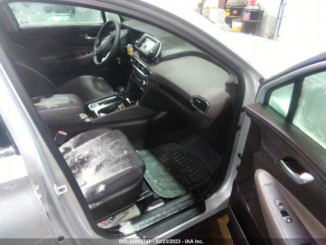 2019 Hyundai Santa Fe, VIN: 5NMS2CAD9KH100171