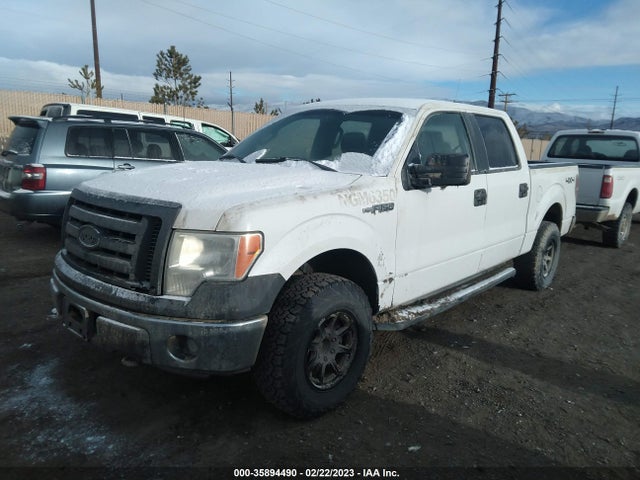 2011 FORD F-150 XL/XLT/FX4/LARIAT VIN: 1FTFW1EF9BFC14643