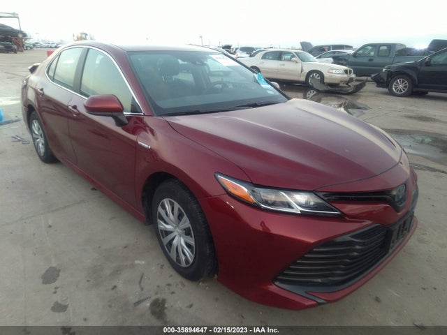 2019 Toyota Camry, VIN: 4T1B31HK5KU007660