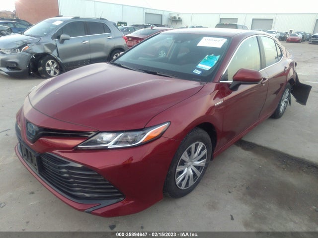 2019 Toyota Camry, VIN: 4T1B31HK5KU007660