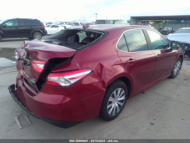 2019 Toyota Camry, VIN: 4T1B31HK5KU007660