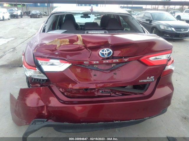 2019 Toyota Camry, VIN: 4T1B31HK5KU007660