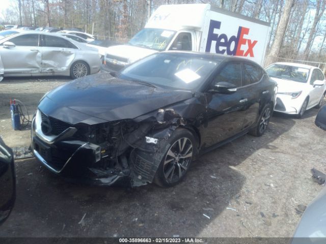 1N4AA6APXHC383512 Nissan Maxima Sv/s/sl/sr/platinum