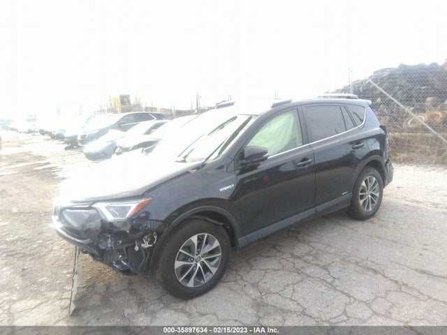 2017 Toyota RAV4, VIN: JTMRJREV1HD138292