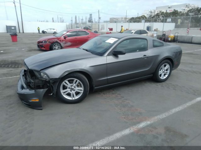 1ZVBP8AM0E5229015 Ford Mustang V6