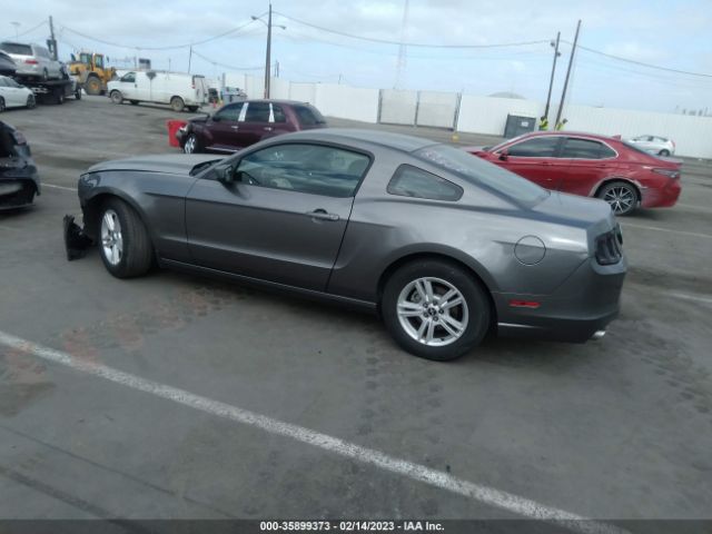 1ZVBP8AM0E5229015 Ford Mustang V6