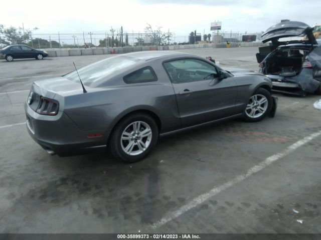 1ZVBP8AM0E5229015 Ford Mustang V6