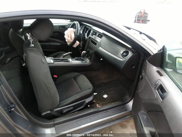 1ZVBP8AM0E5229015 Ford Mustang V6