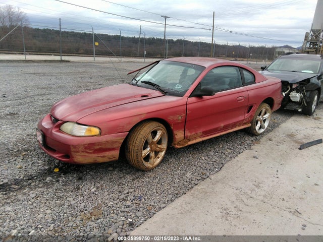 1995 FORD MUSTANG VIN: 1FALP4040SF118302
