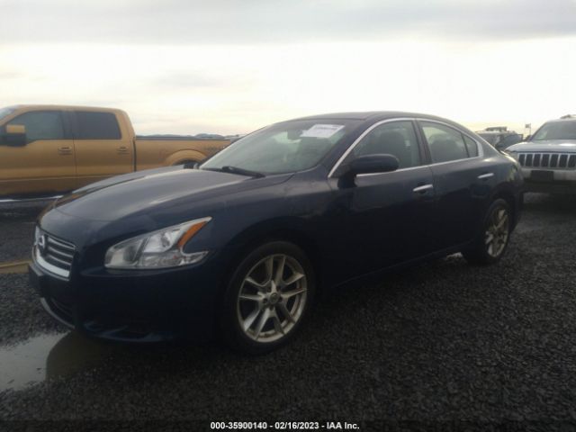 1N4AA5APXEC455086 Nissan MAXIMA 3.5