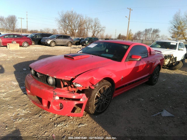 2006 FORD MUSTANG STANDARD/DELUXE/PREMIUM VIN: 1ZVHT80N165229347