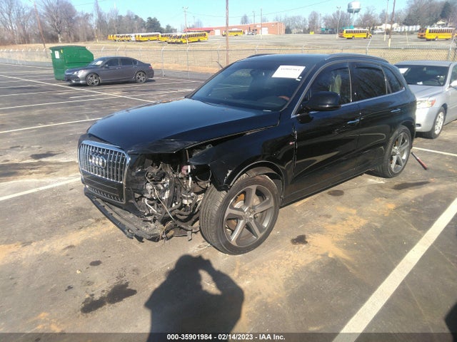 WA1D7AFP4GA006714 Audi Q5 Premium Plus