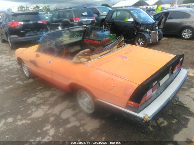 1984 ALFA ROMEO VELOCE 2000 SPIDER VIN: ZARBA5411E1020528