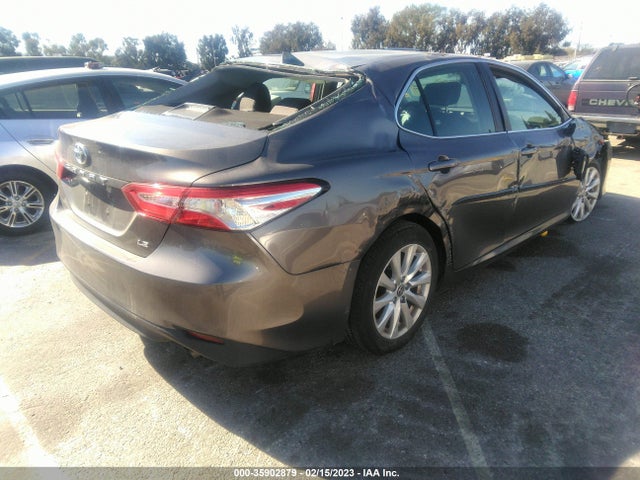 Toyota Camry 2020 4T1C11AK0LU969242 Image 4