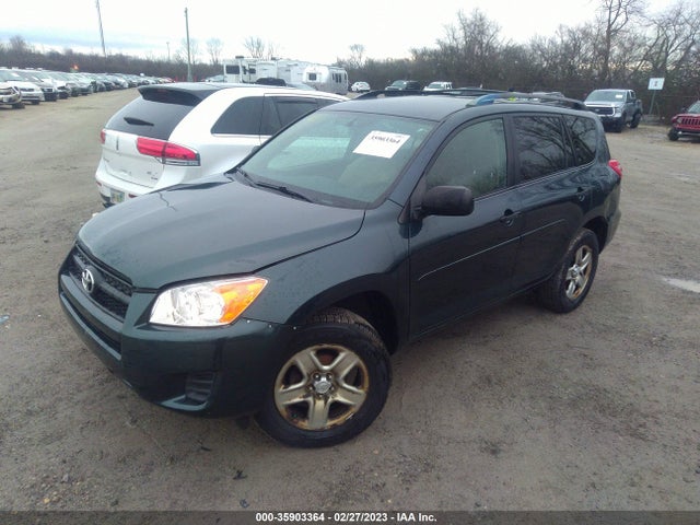 2010 TOYOTA RAV4 VIN: JTMBF4DV9AD024957