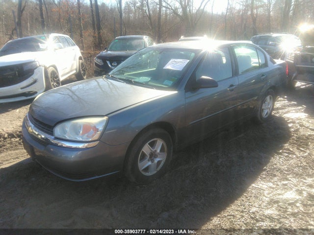 2005 CHEVROLET MALIBU LS VIN: 1G1ZT52835F239151