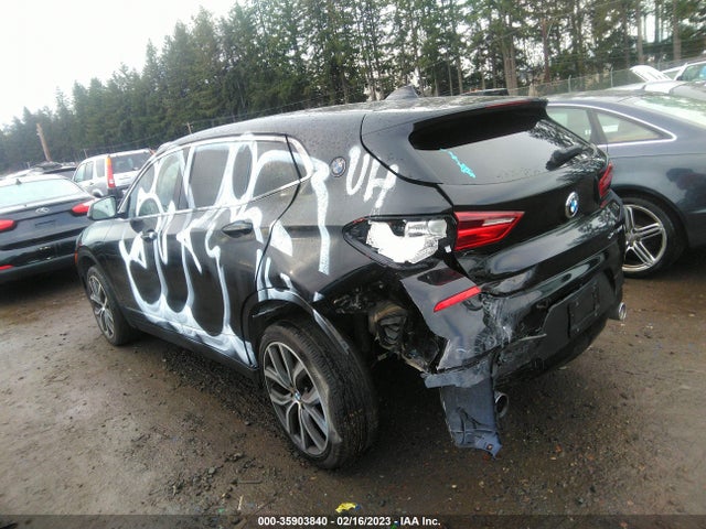 BMW X2 Xdrive28i 2018 WBXYJ5C31JEF74989 Image 3
