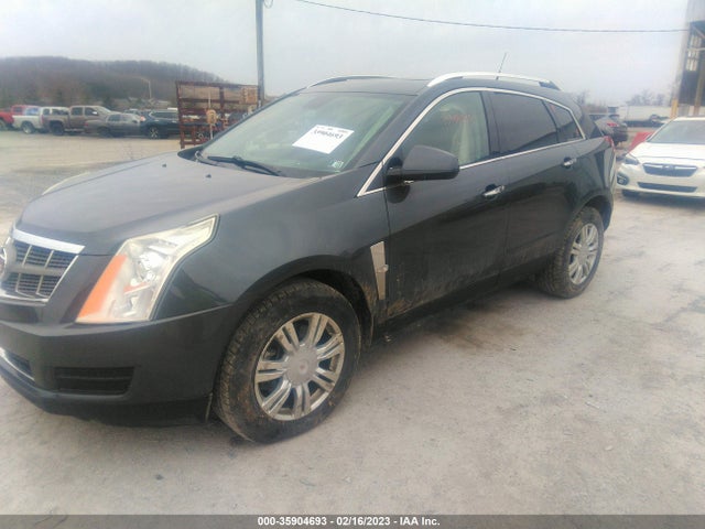 2011 CADILLAC SRX LUXURY COLLECTION VIN: 3GYFNDEY3BS529224