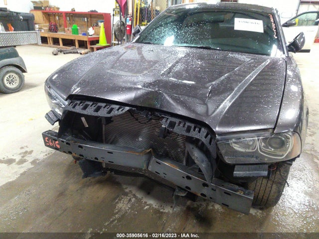 Dodge Charger Rt 2013 2C3CDXDT6DH687442 Image 6
