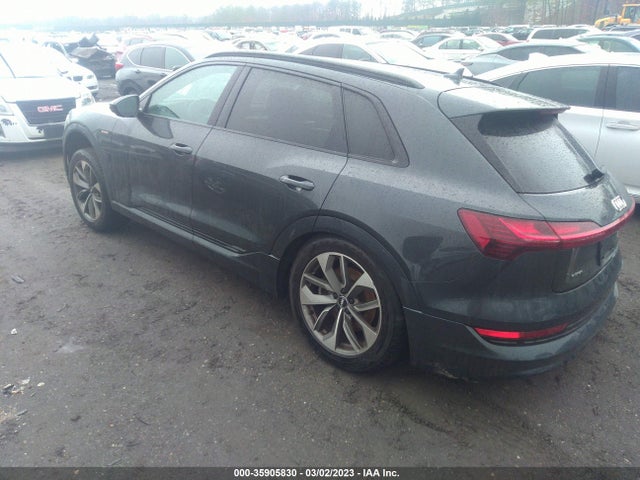 2021 Audi e-tron, VIN: WA1LAAGEXMB003803