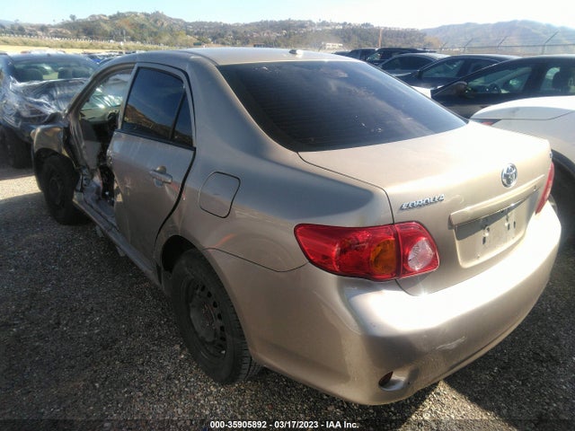 2010 TOYOTA COROLLA VIN: 2T1BU4EEXAC317137
