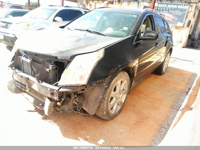 Cadillac Srx Performance Collection 2010 3GYFNBEY0AS525991 Image 2