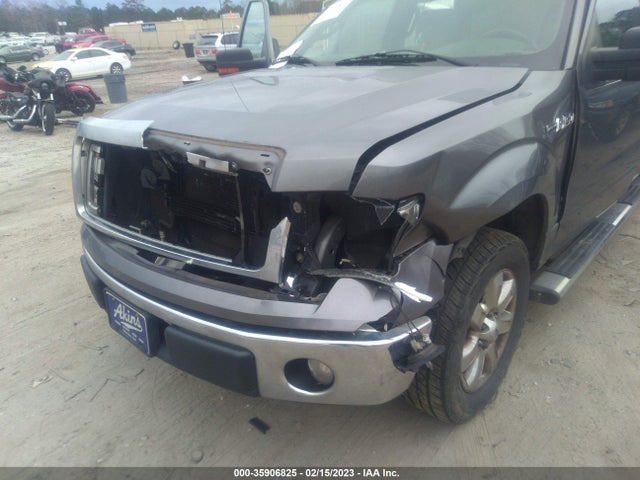2013 FORD F-150 XL/XLT VIN: 1FTEW1CMXDFA98532